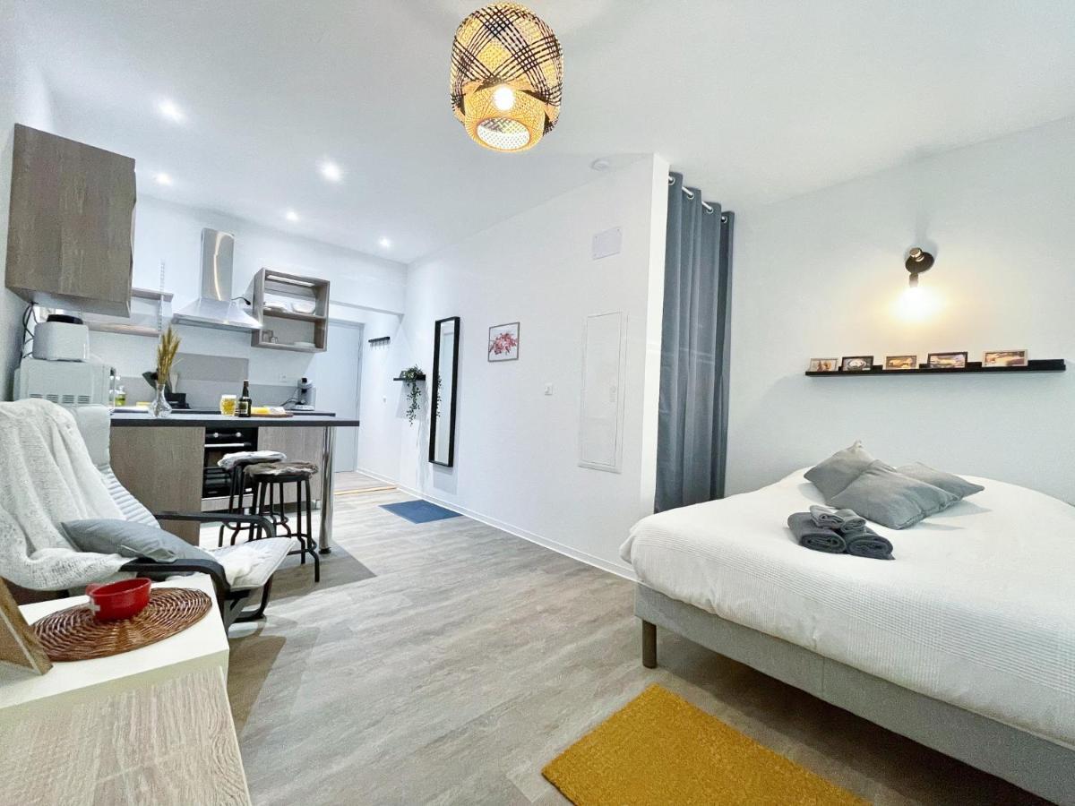 Le Paradis Fiscal, 5Min Bale, Parking Prive Saint-Louis  Dış mekan fotoğraf