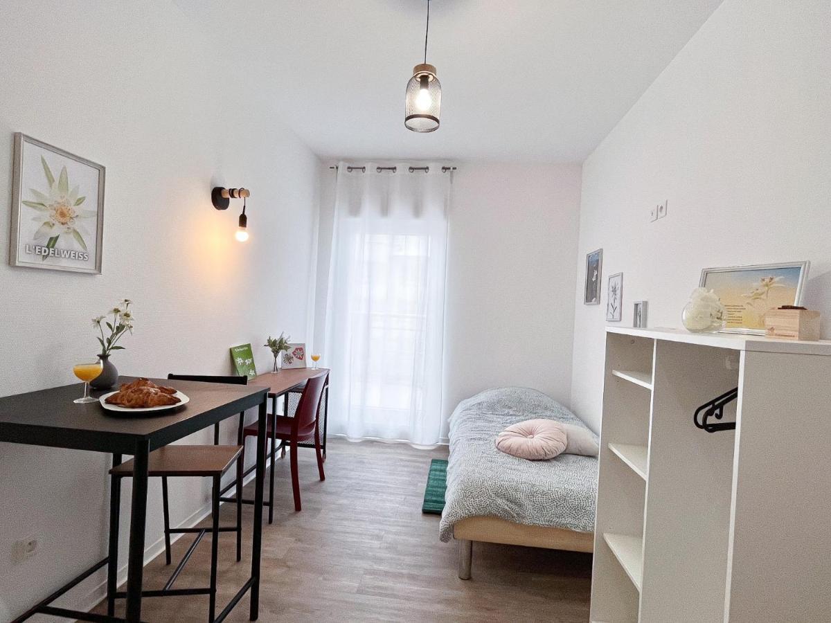 Le Paradis Fiscal, 5Min Bale, Parking Prive Saint-Louis  Dış mekan fotoğraf
